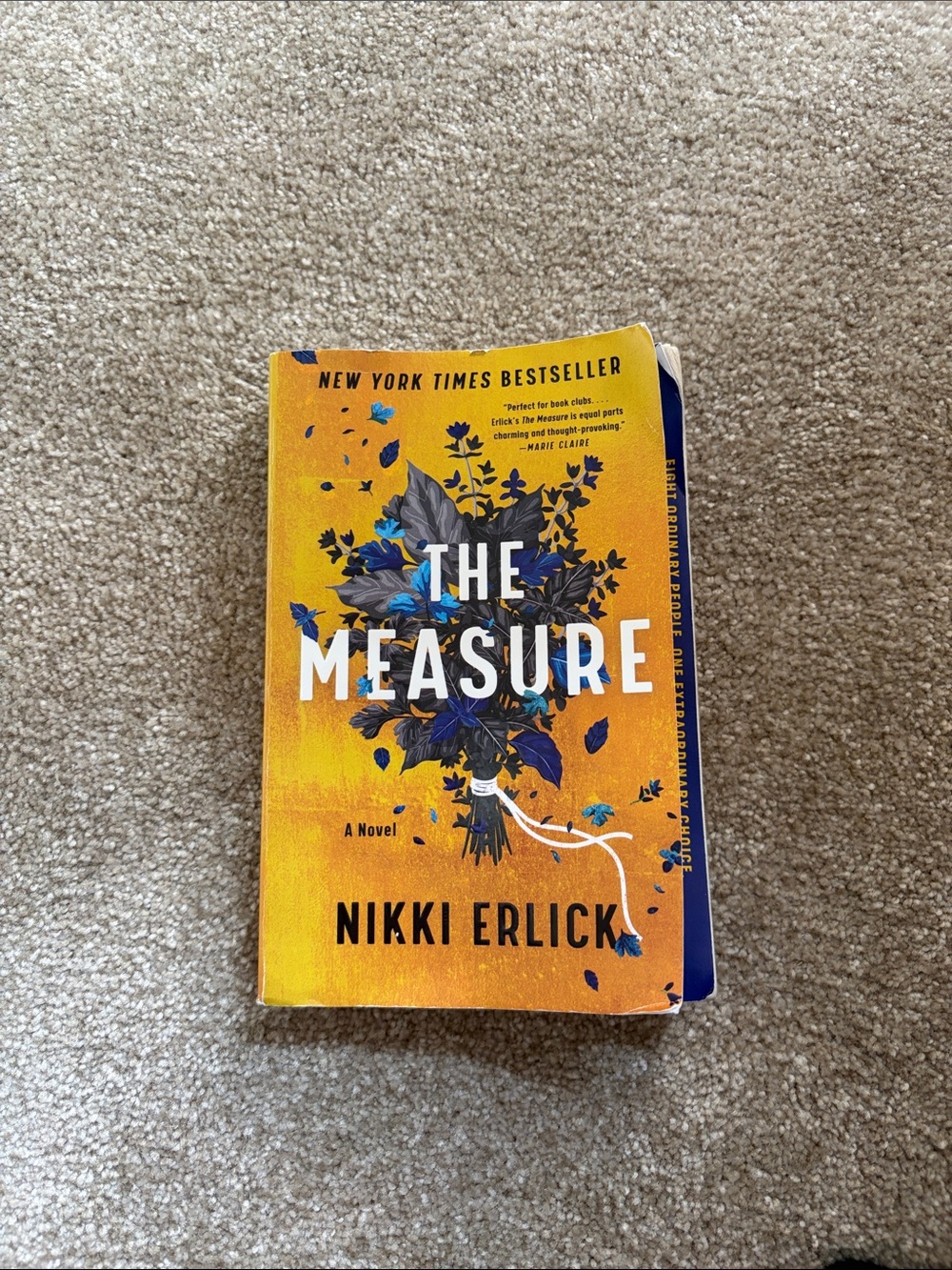 The Measure by Nikki Erlick - Yellow & Blue Paperback